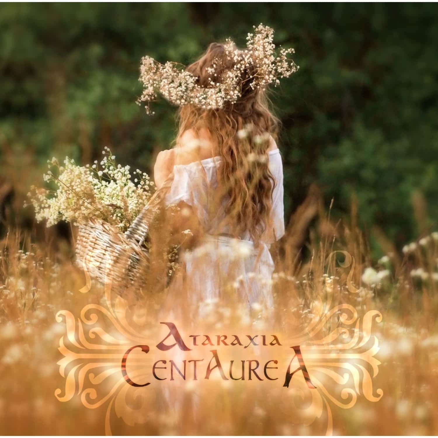 Ataraxia - CENTAUREA 