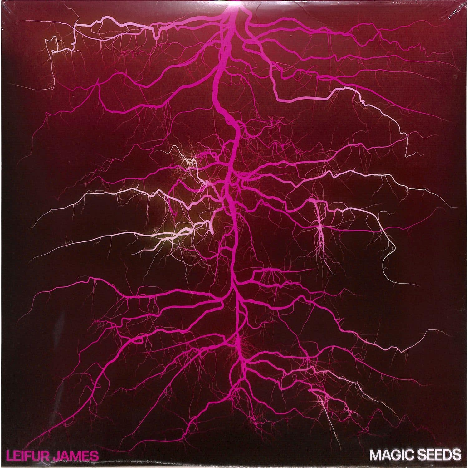 Leifur James - MAGIC SEEDS 