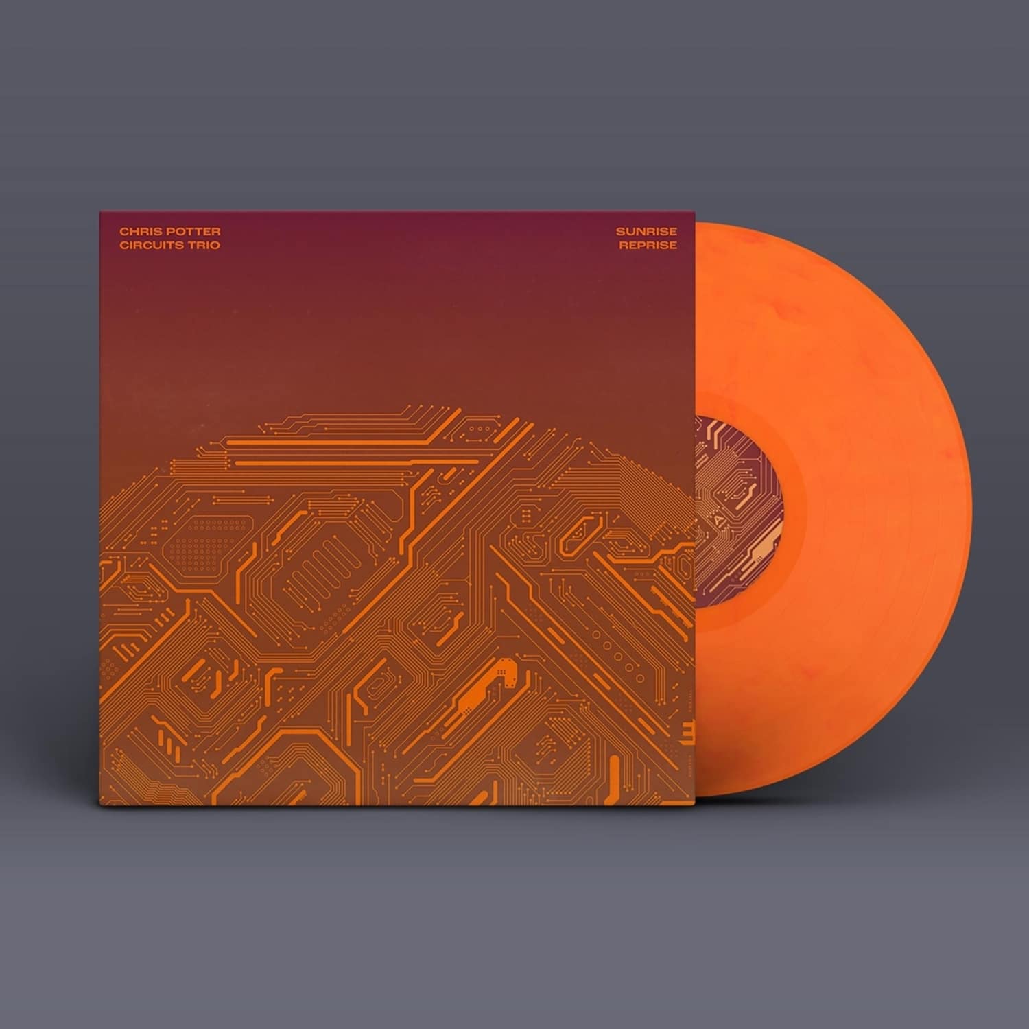 Chris Potter & Circuits Trio - SUNRISE REPRISE 