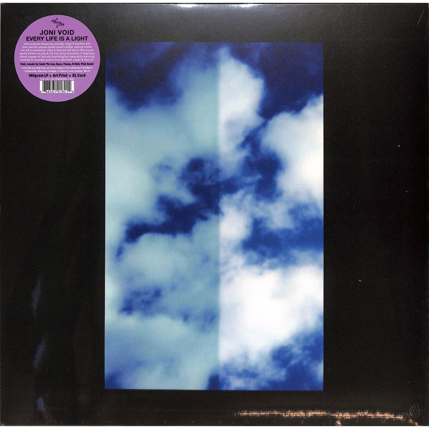 Joni Void - EVERY LIFE IS A LIGHT 