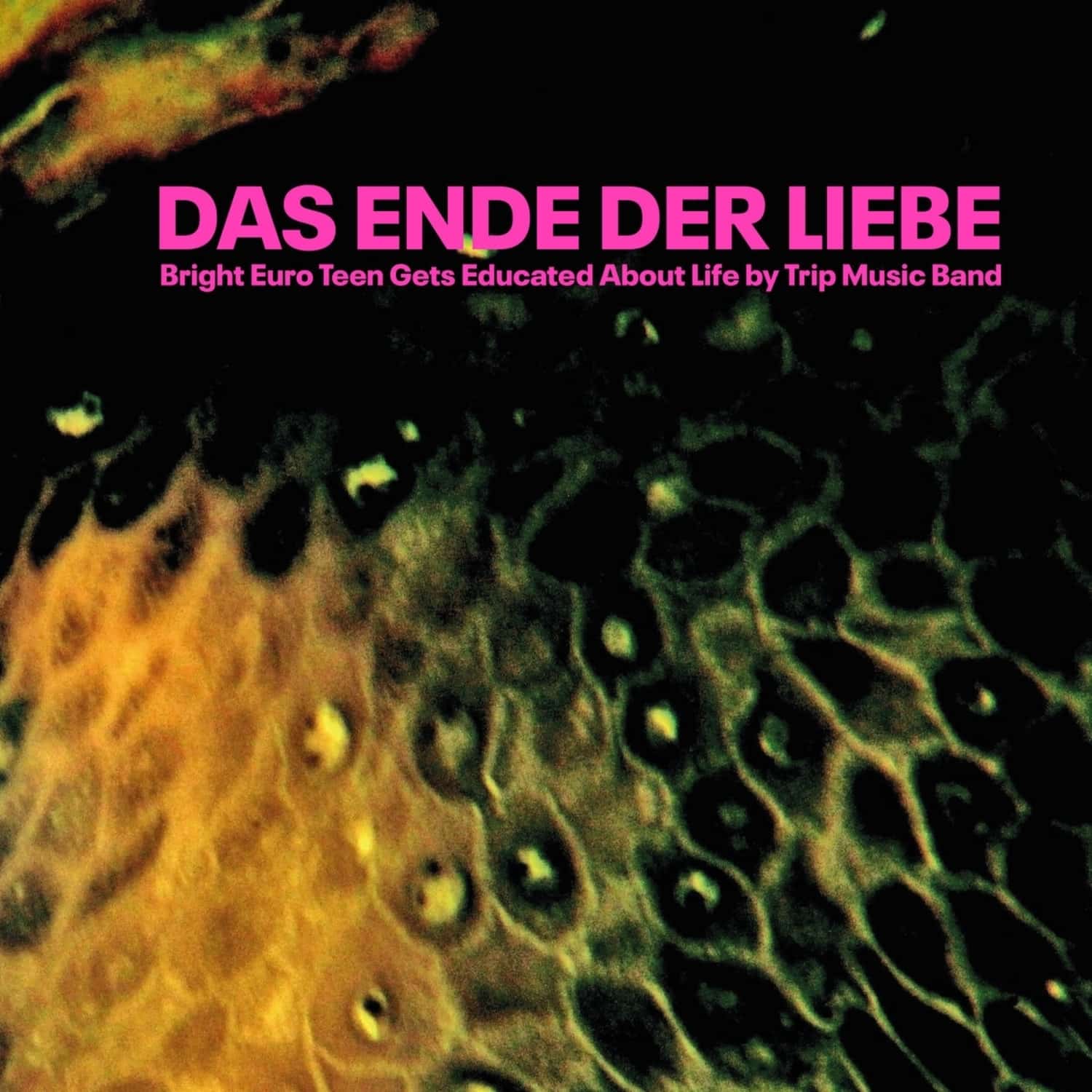 Das Ende der Liebe - BRIGHT EURO TEEN GETS EDUCATED ABOUT LIFE BY TRIP 