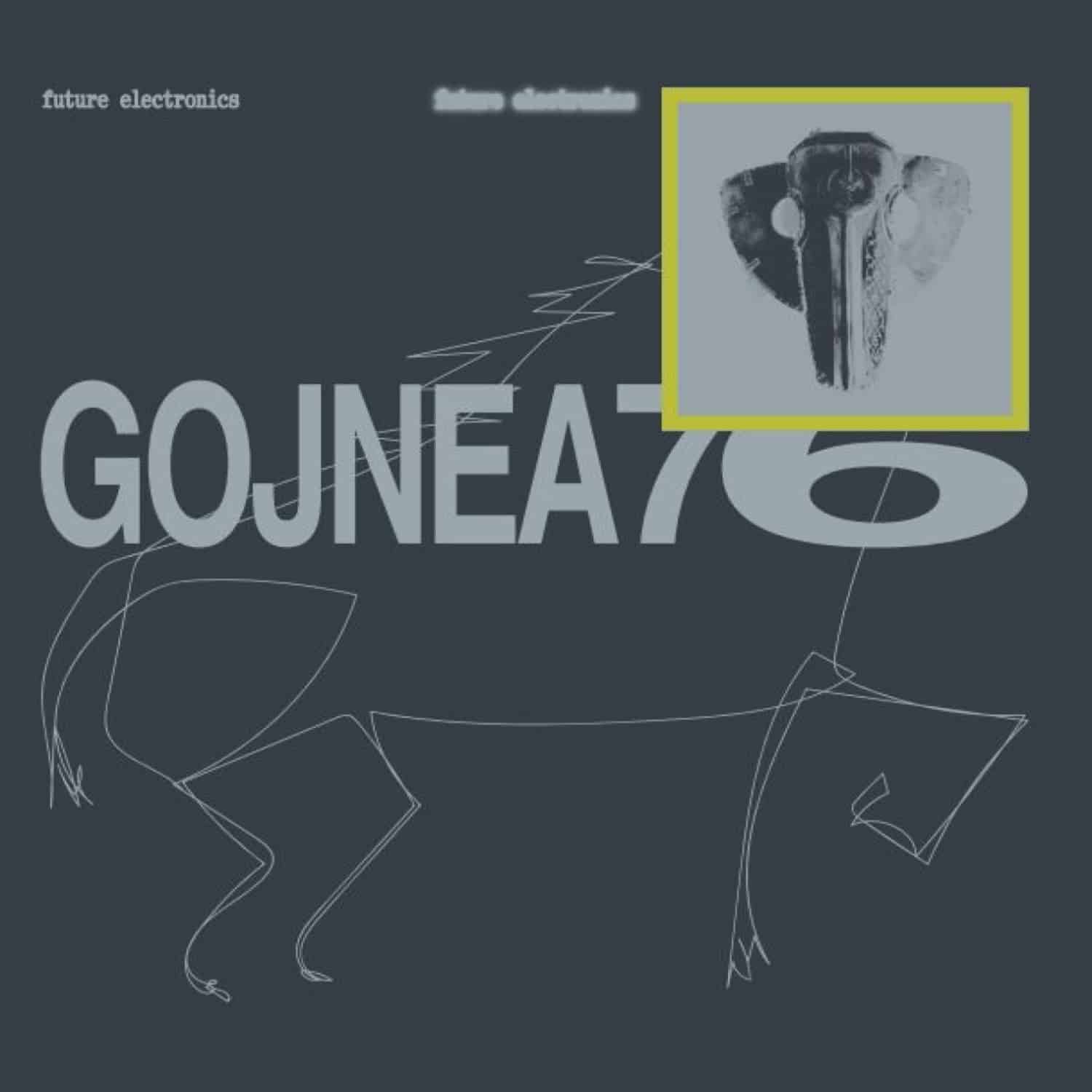 Gojnea76 - PUNISHER BRAILA