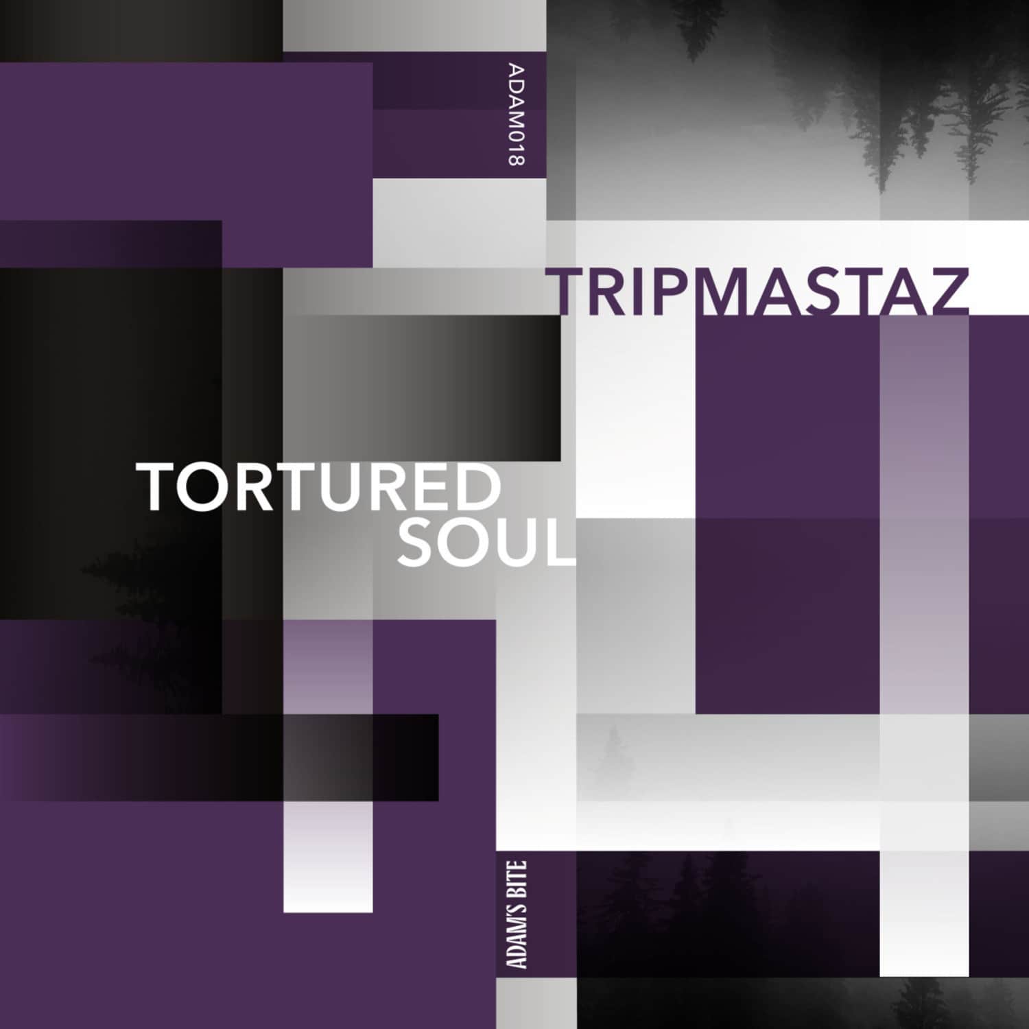 Tripmastaz - TORTURED SOUL