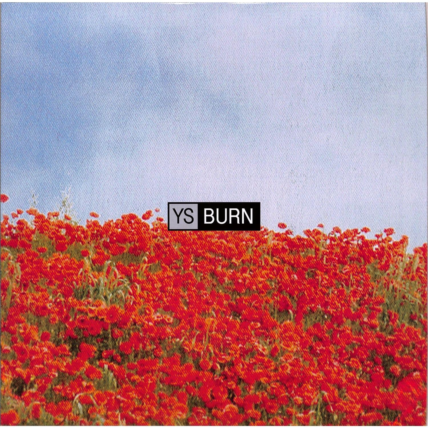 YS - BURN 