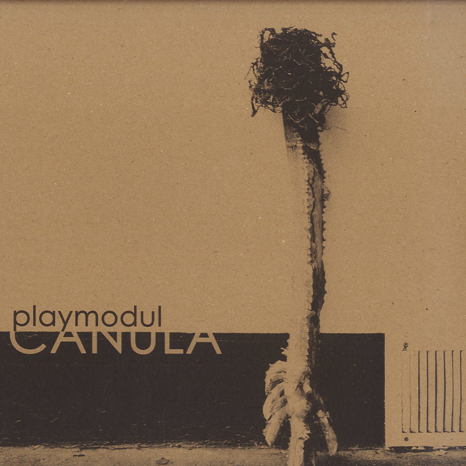 Playmodul - CANULA EP 