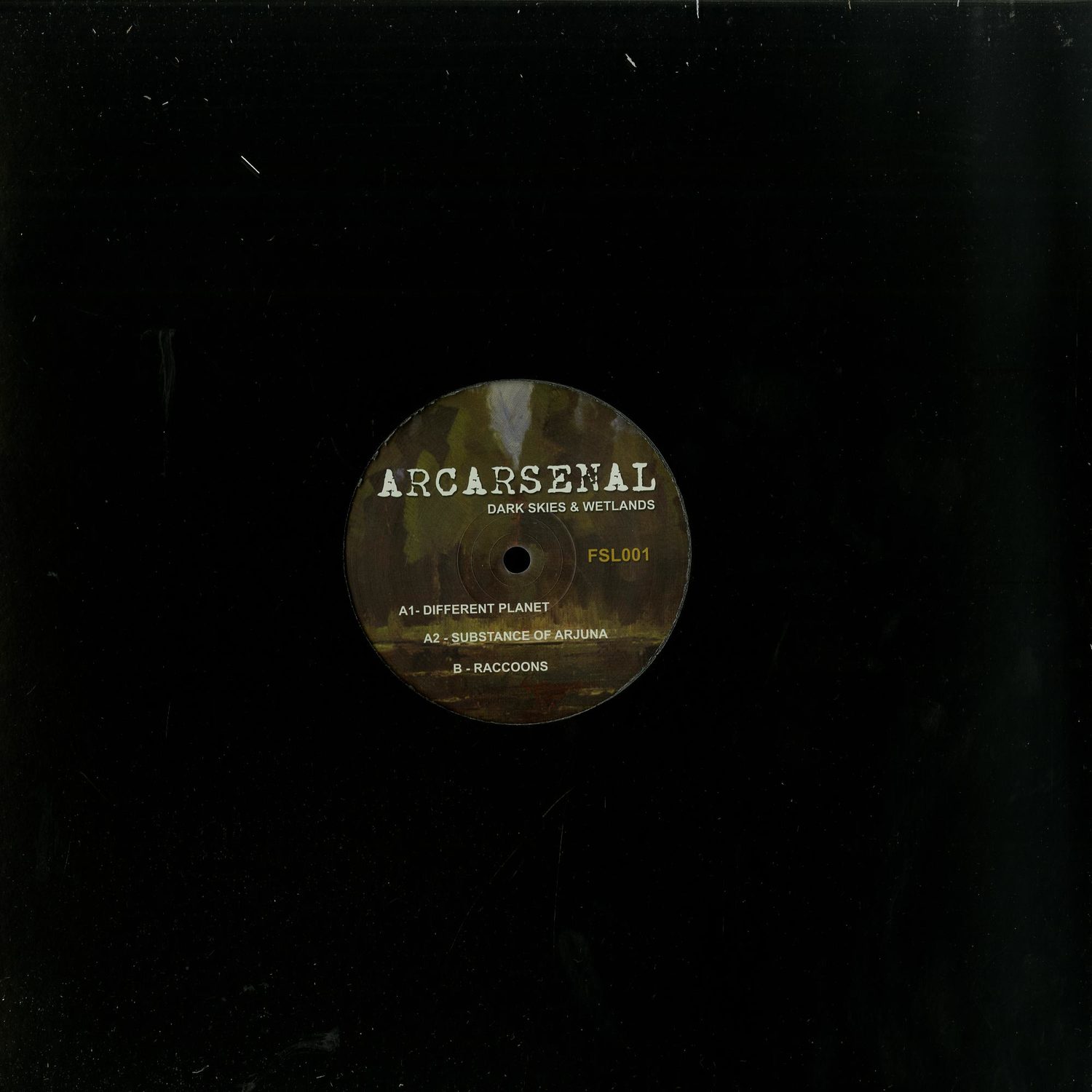 Arcarsenal - DARK SKIES & WETLANDS