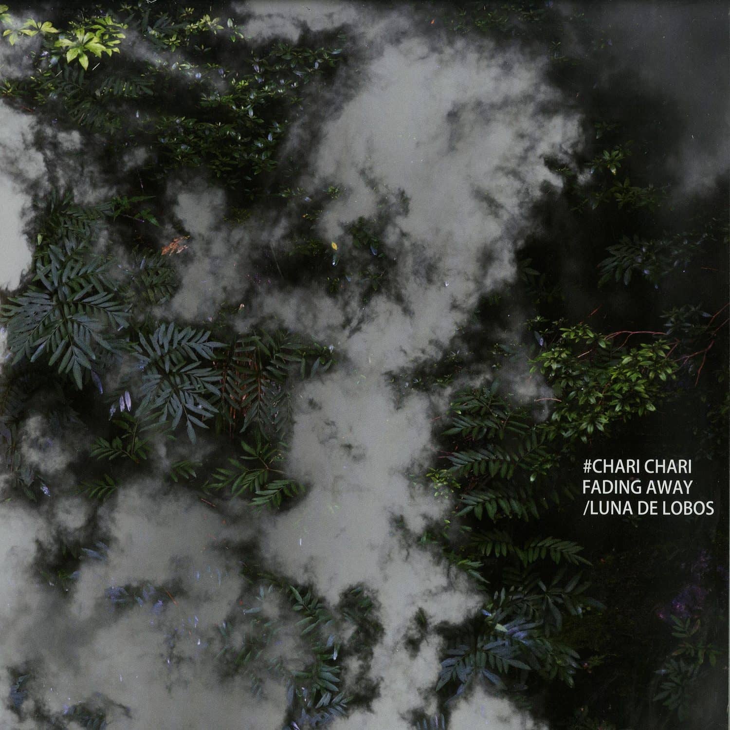 Chari Chari - FADING AWAY / LUNA DE LOBOS