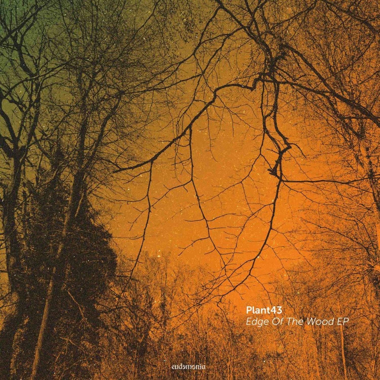 Plant43 - EDGE OF THE WOOD