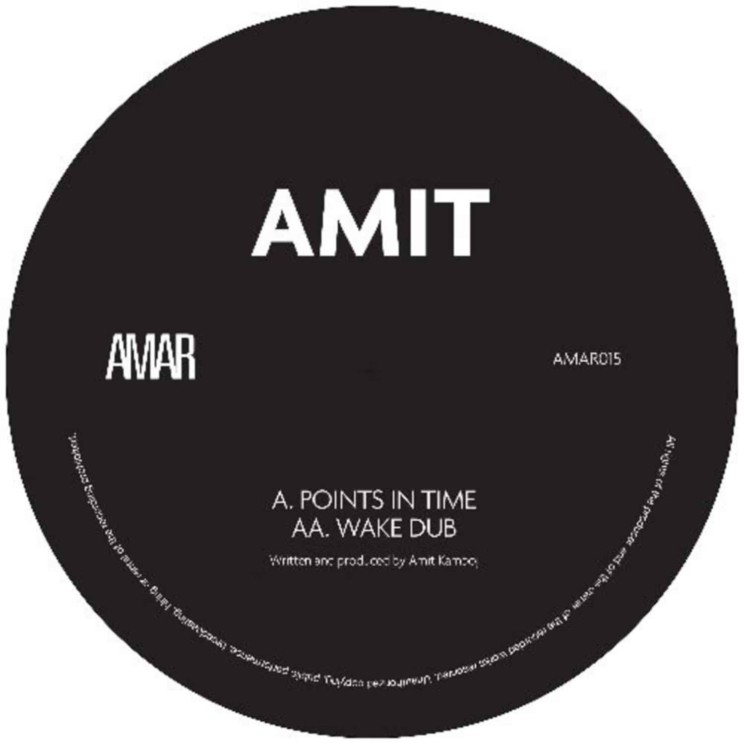 Amit - POINTS IN TIME / WAKE DUB 