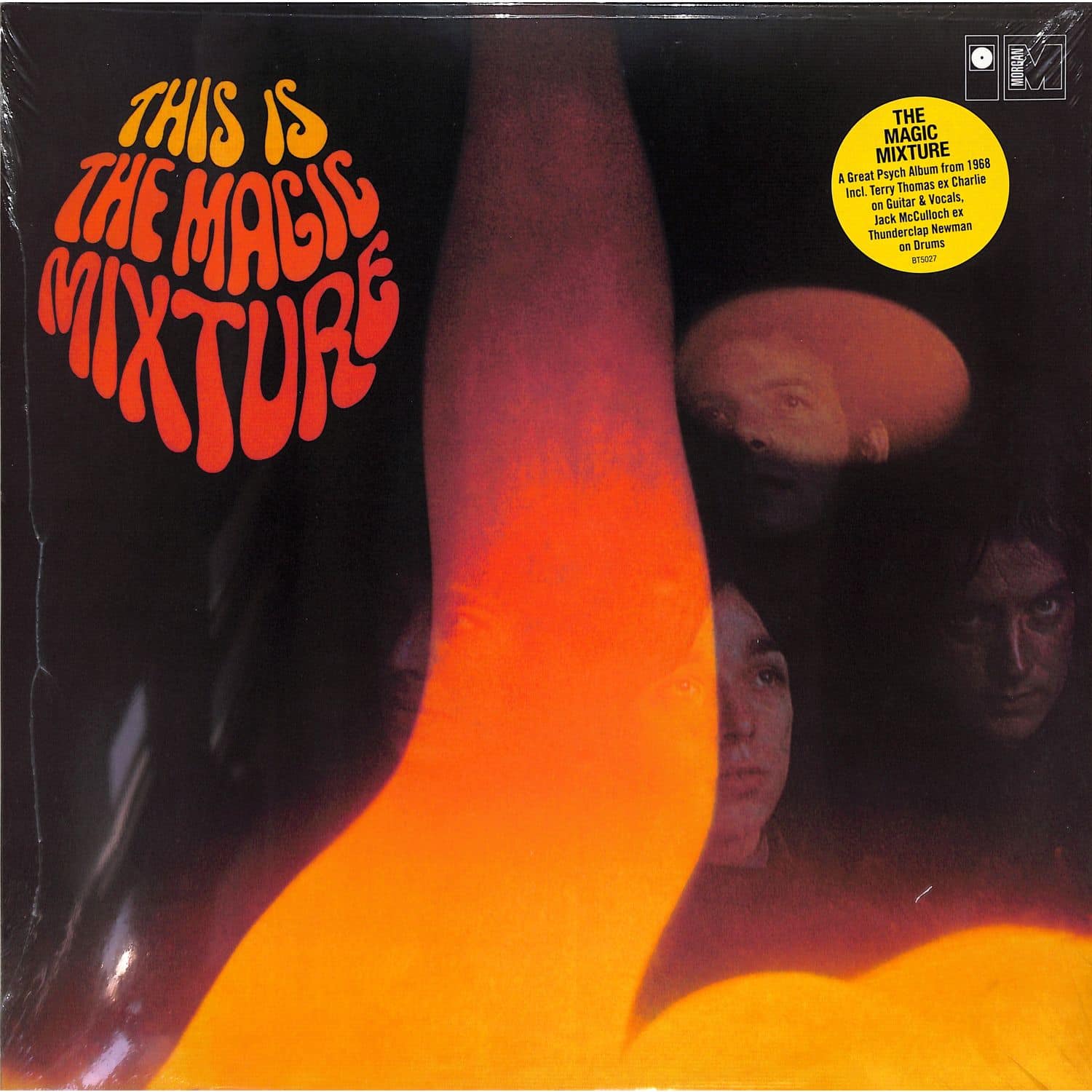 The Magic Mixture - THIS IS THE MAGIC MIXTURE 