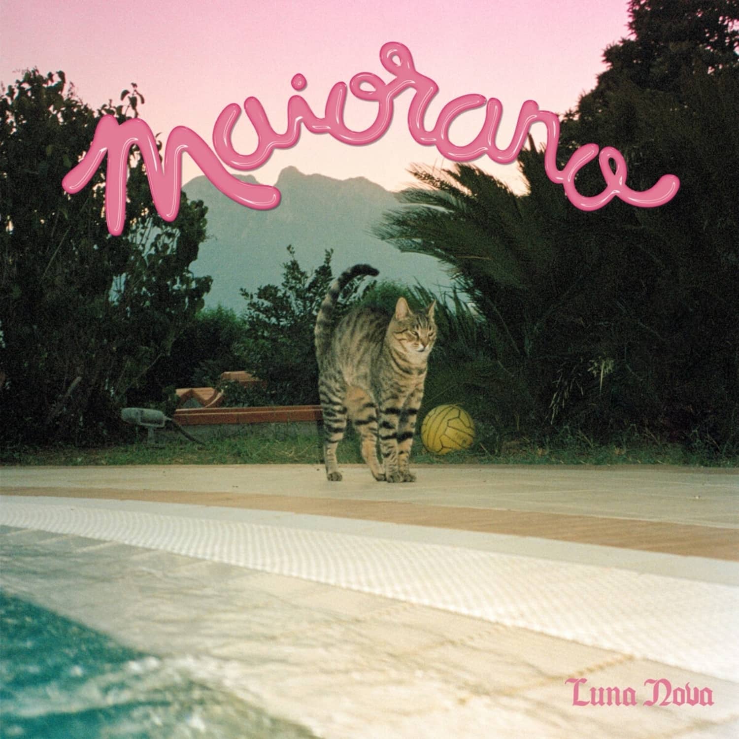 Maiorano - LUNA NOVA 