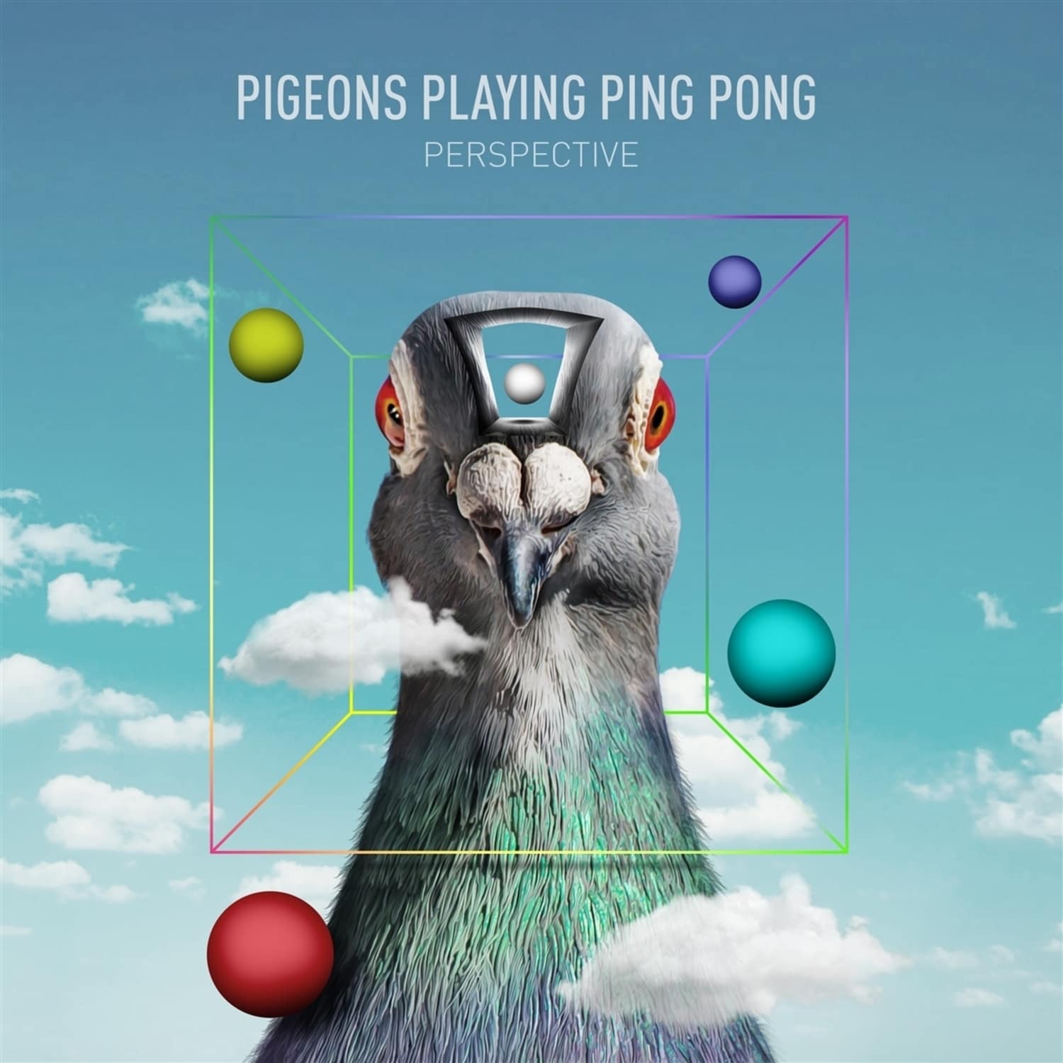 Pigeons Playing Ping Pong - PERSPECTIVE 