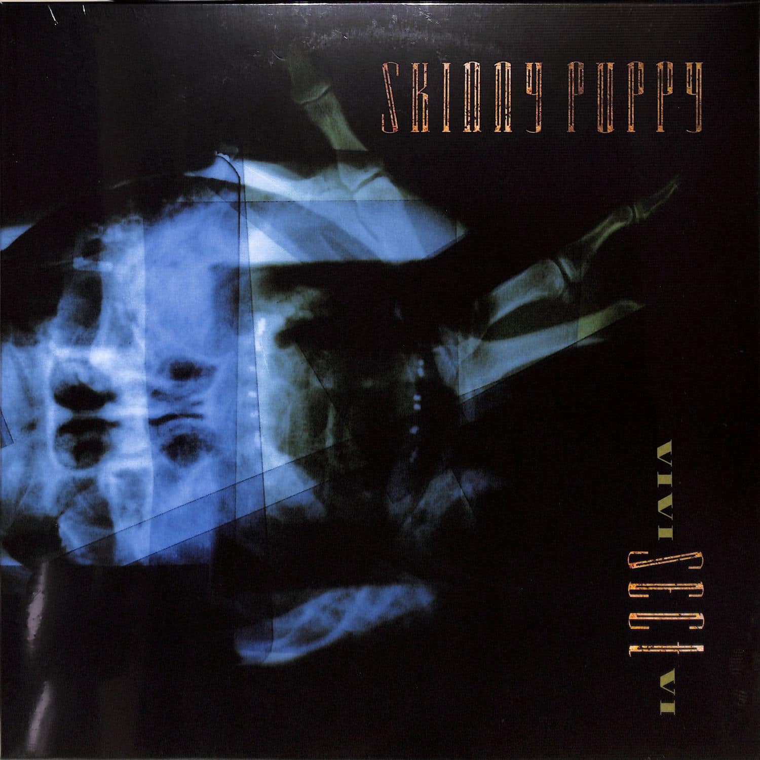 Skinny Puppy - VIVI SECT VI 