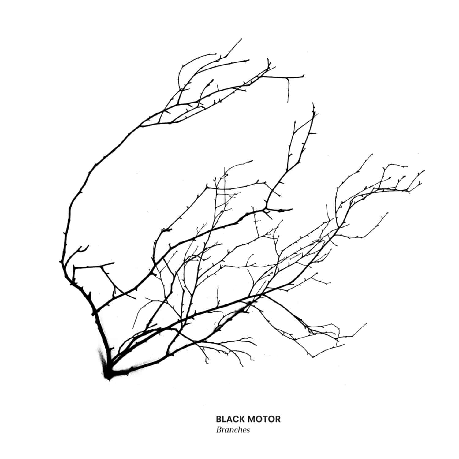 Black Motor - BRANCHES 