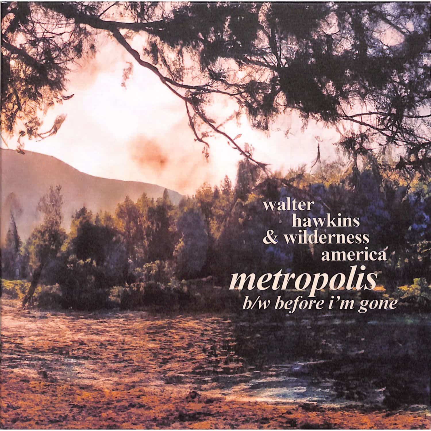 Walter Hawkins & Wilderness America - METROPOLIS 