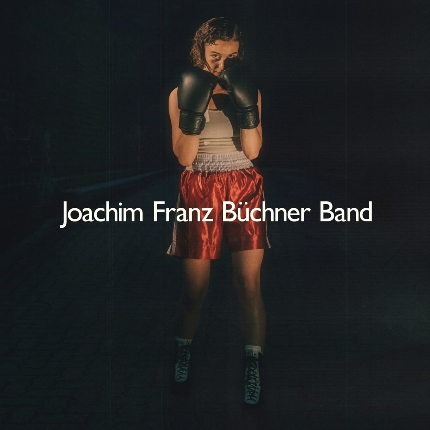 JOACHIM FRANZ BUeCHNER BAND - HITS IN THE DARK 
