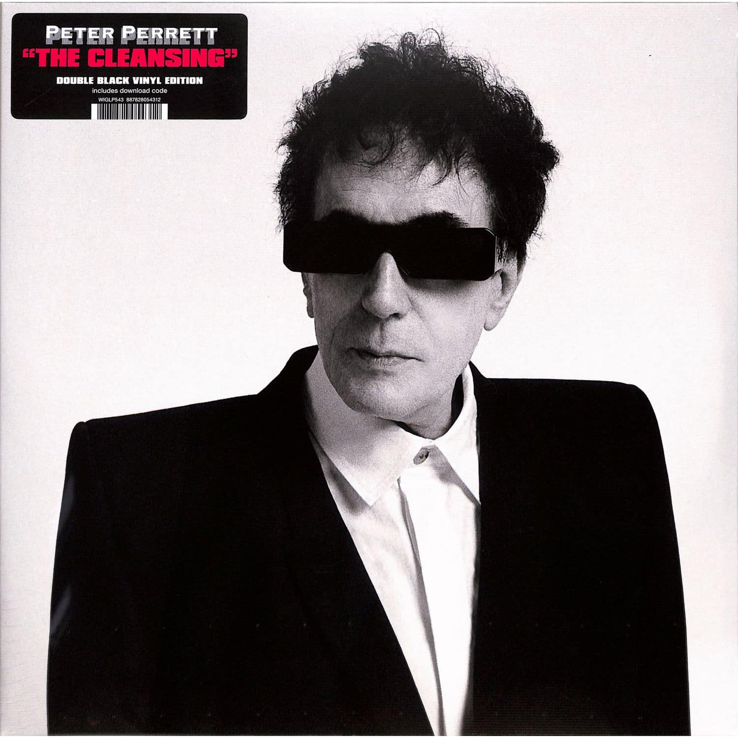 Peter Perrett - THE CLEANSING 