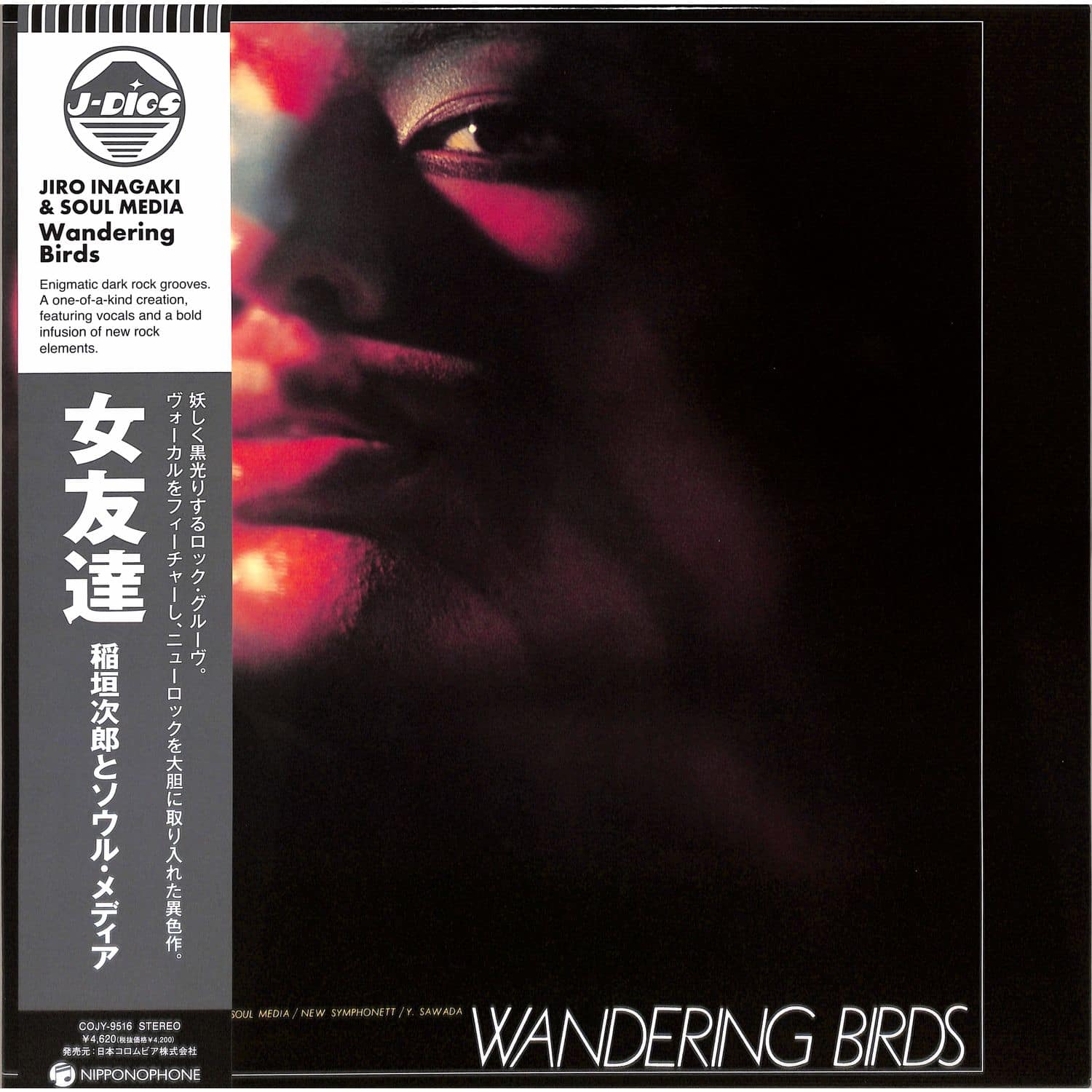 Jiro Inagaki & Soul Media - WANDERING BIRDS