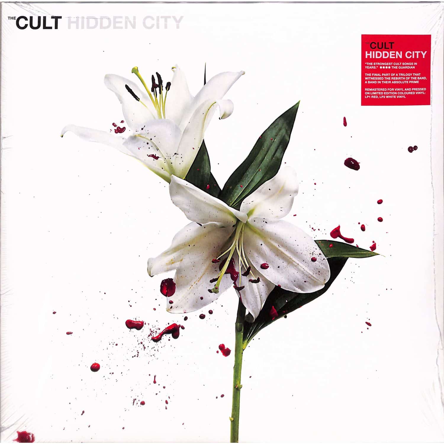 The Cult - HIDDEN CITY 