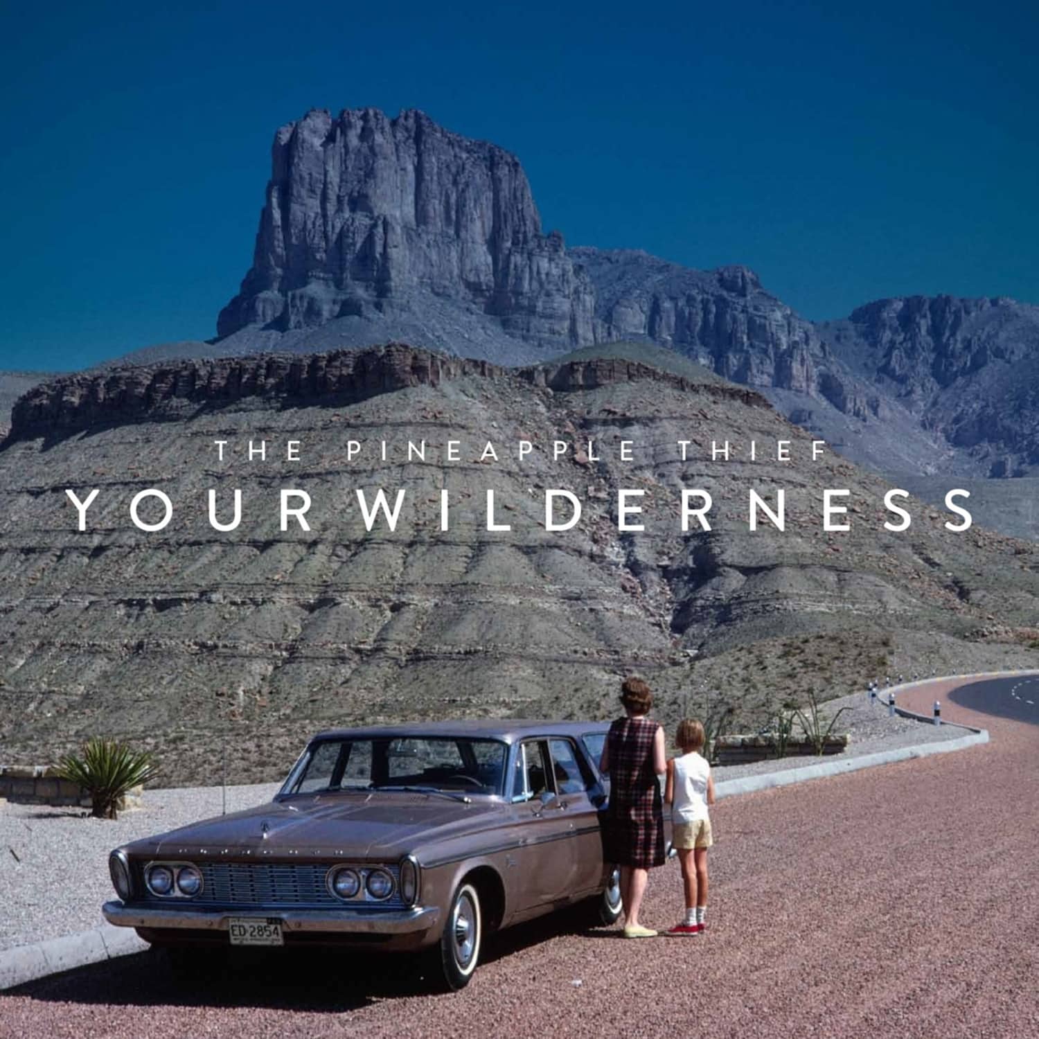 The Pineapple Thief - YOUR WILDERNESS 