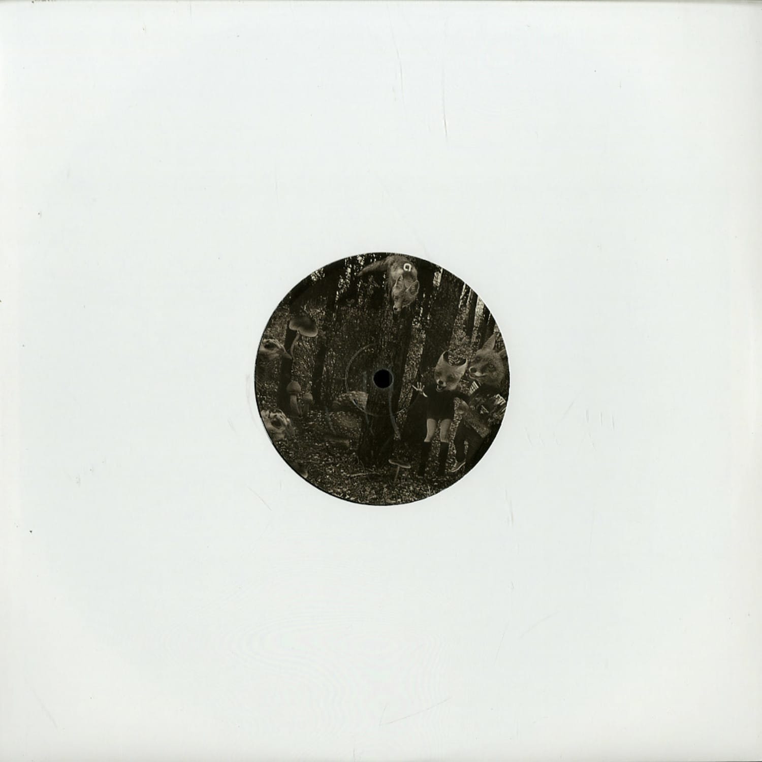 Mikhail Kobzar & Nastia Kobzar - MISTAKEN FOX