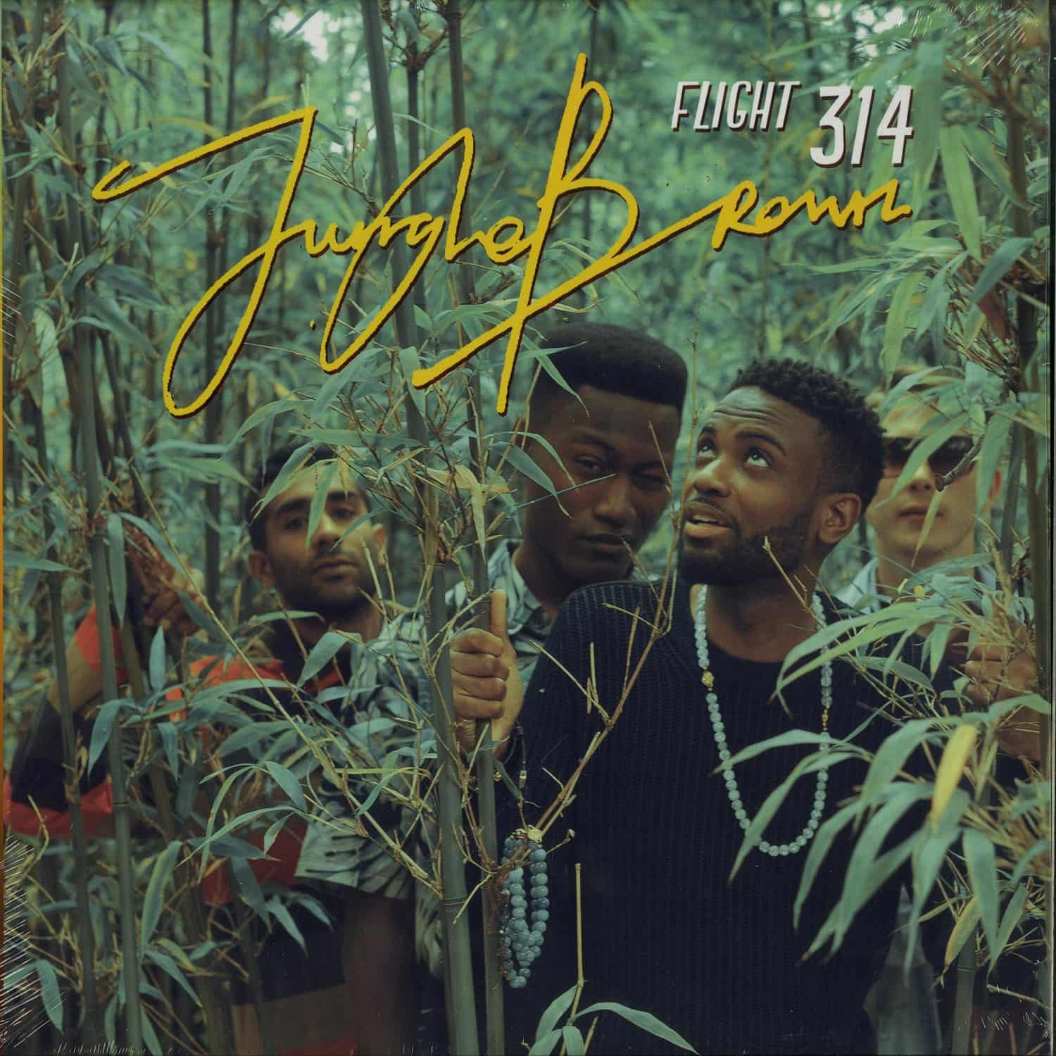 Jungle Brown - FLIGHT 314 