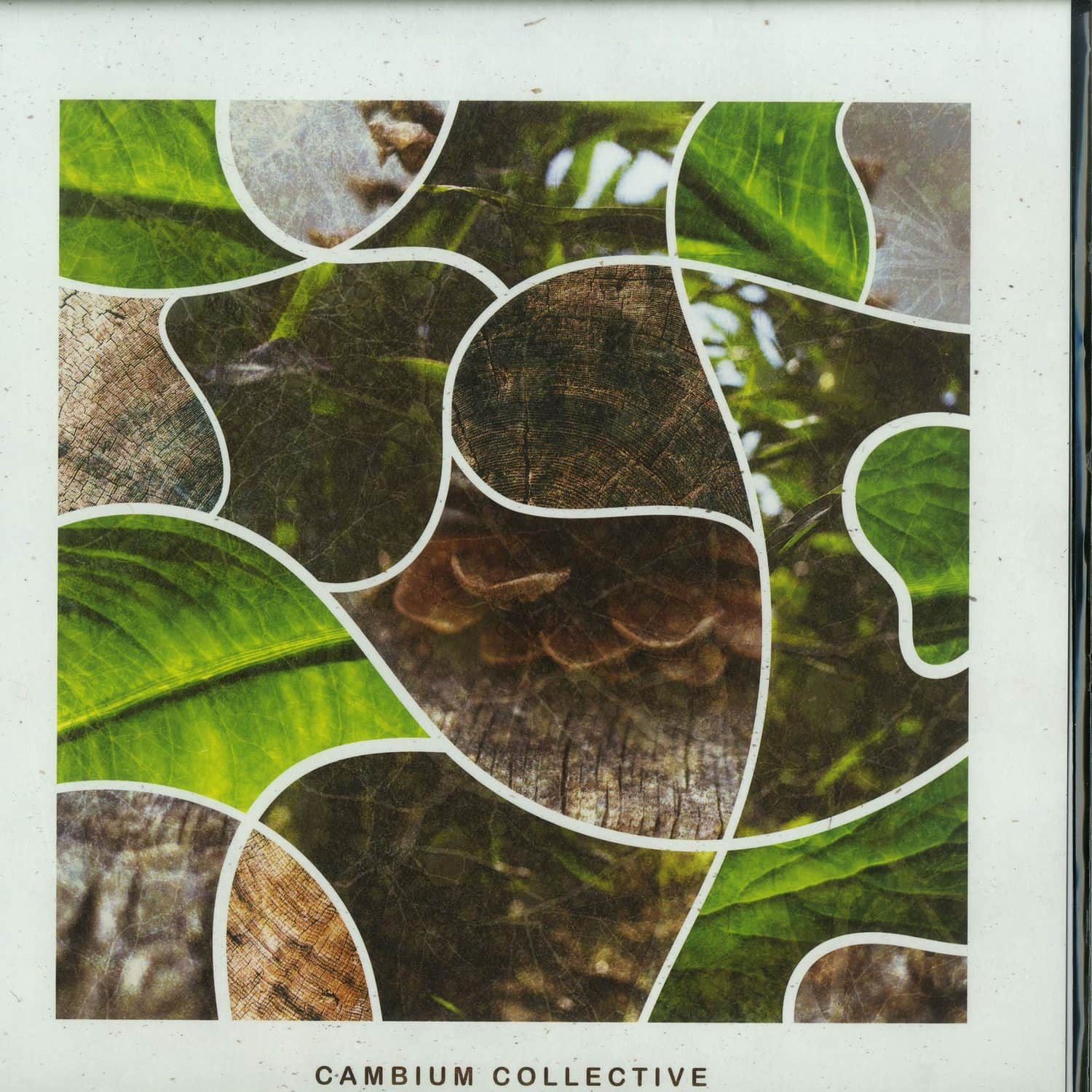 V.I.C.A.R.I. - STILL BE THERE