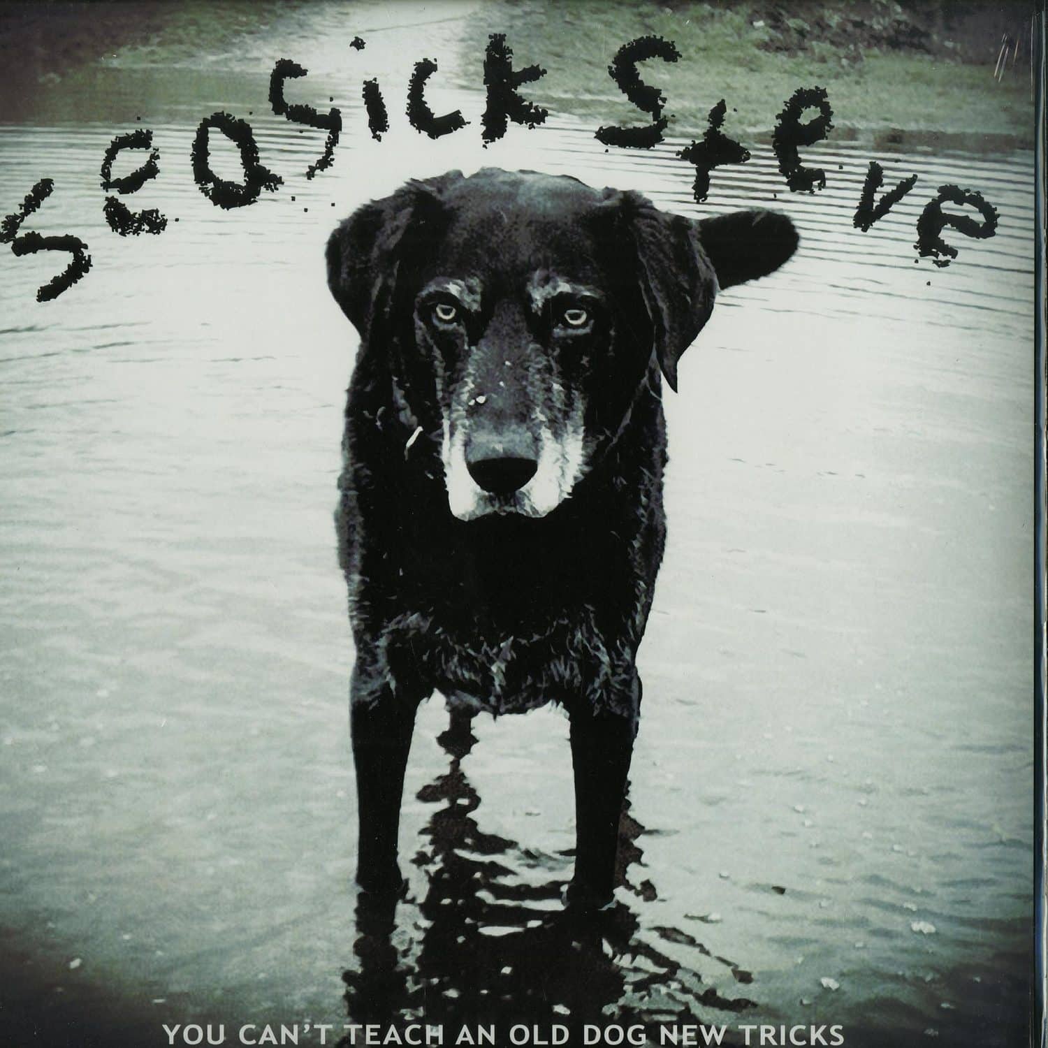 Seasick Steve - YOU CANT TEACH AN OLD DOG NEW TRICKS 