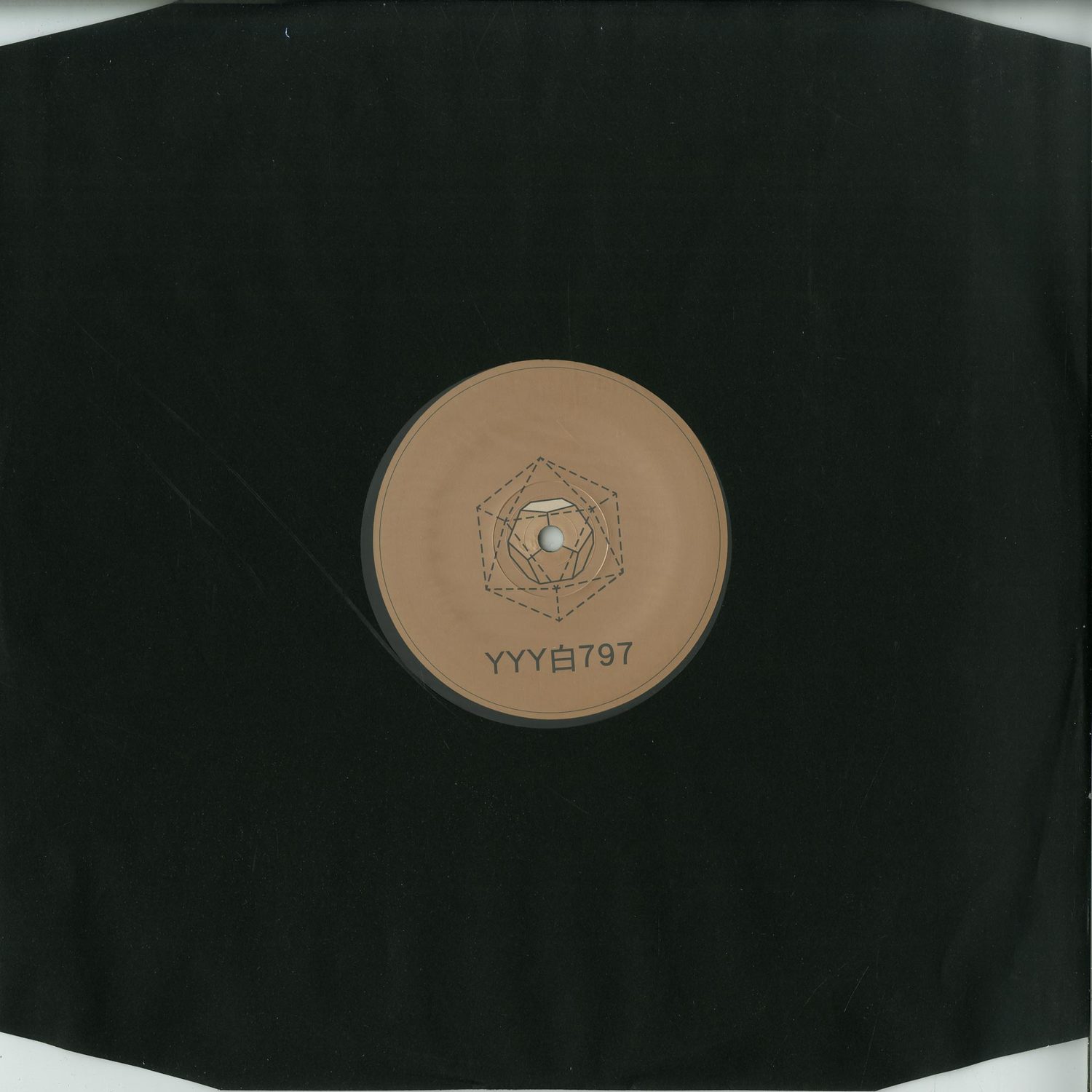 YYY - yyy797 (vinyl only)