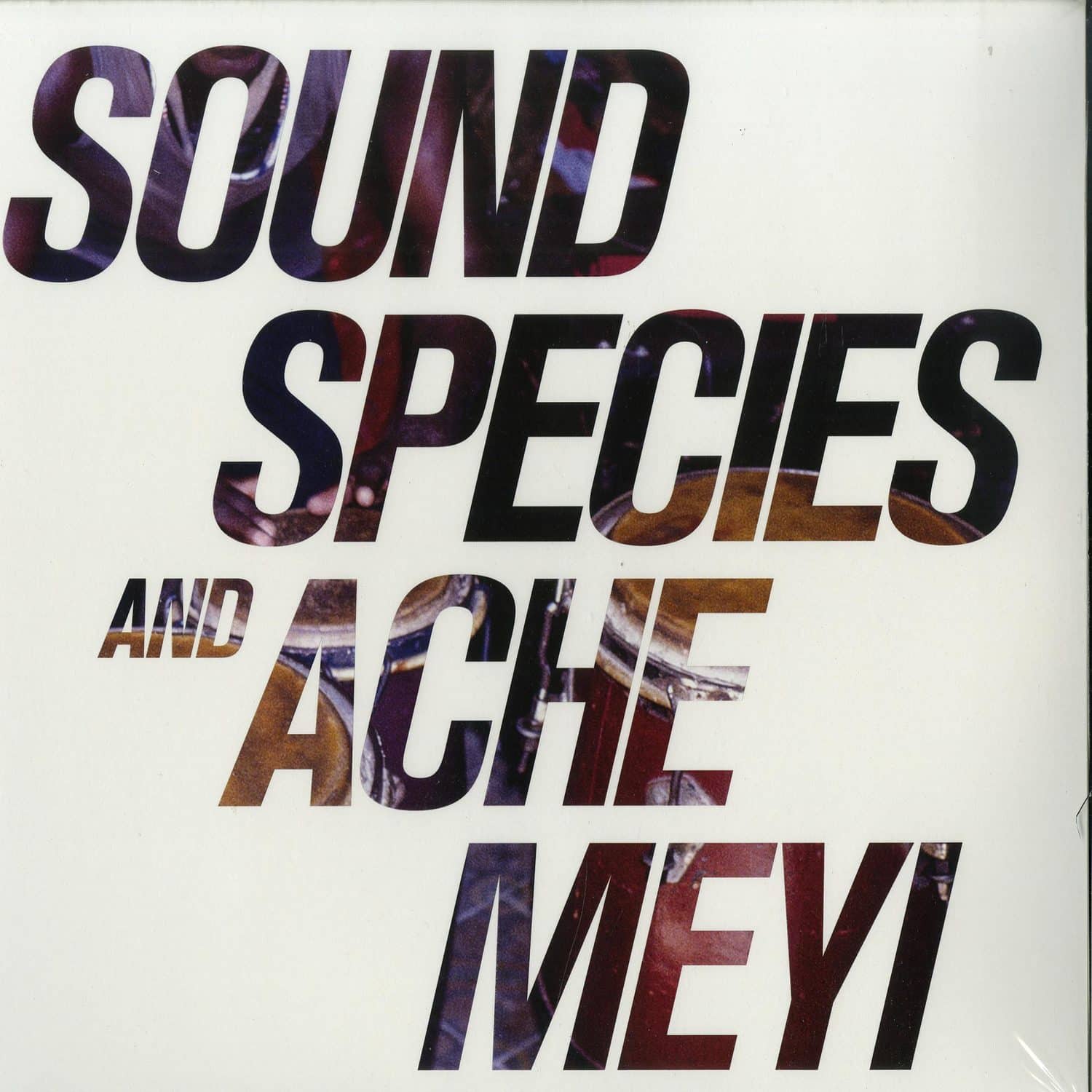 Soundspecies & Ache Meyi - SOUNDSPECIES & ACHE MEYI 