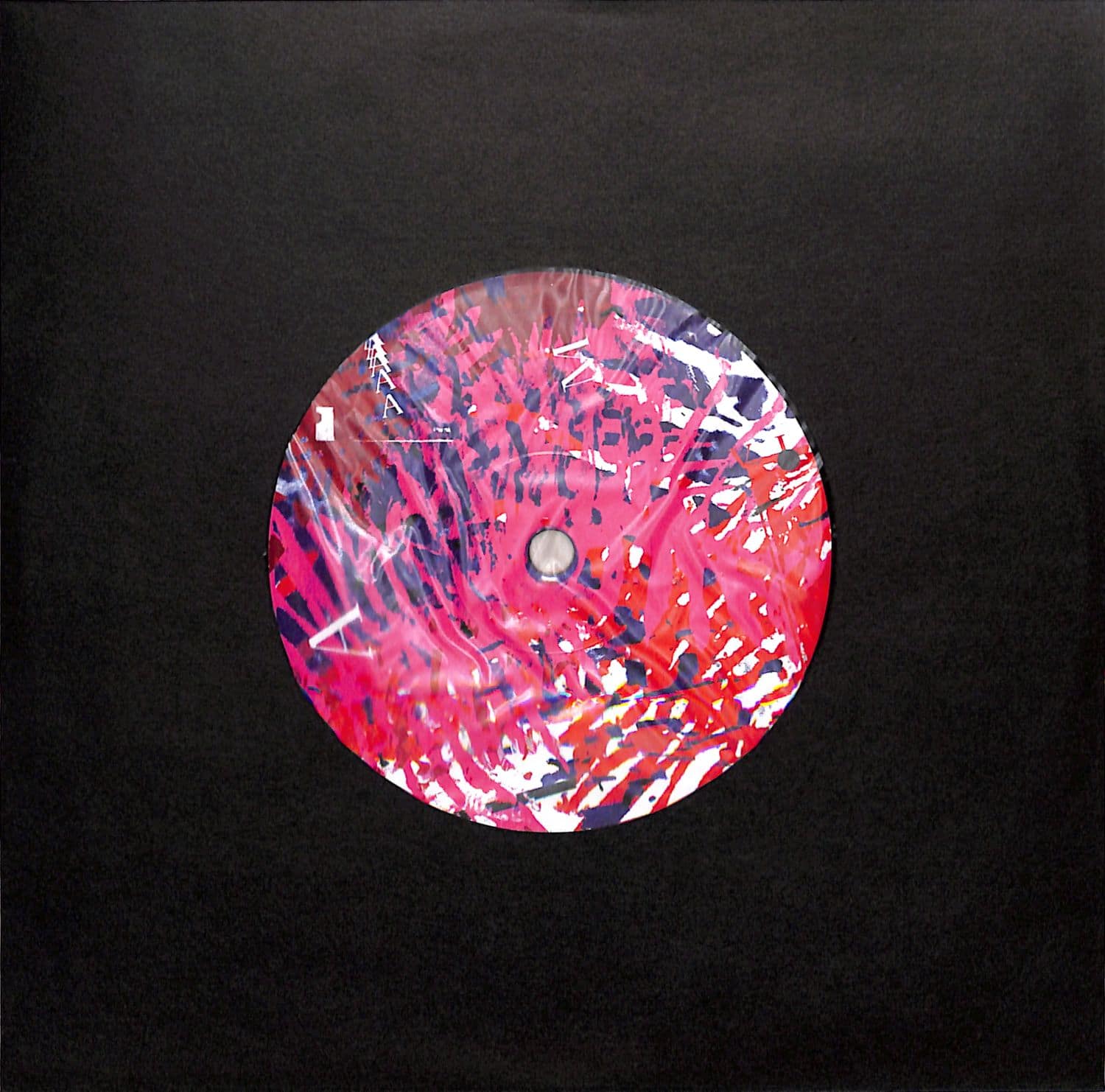 Vinicio Adames - AMAZONIA 