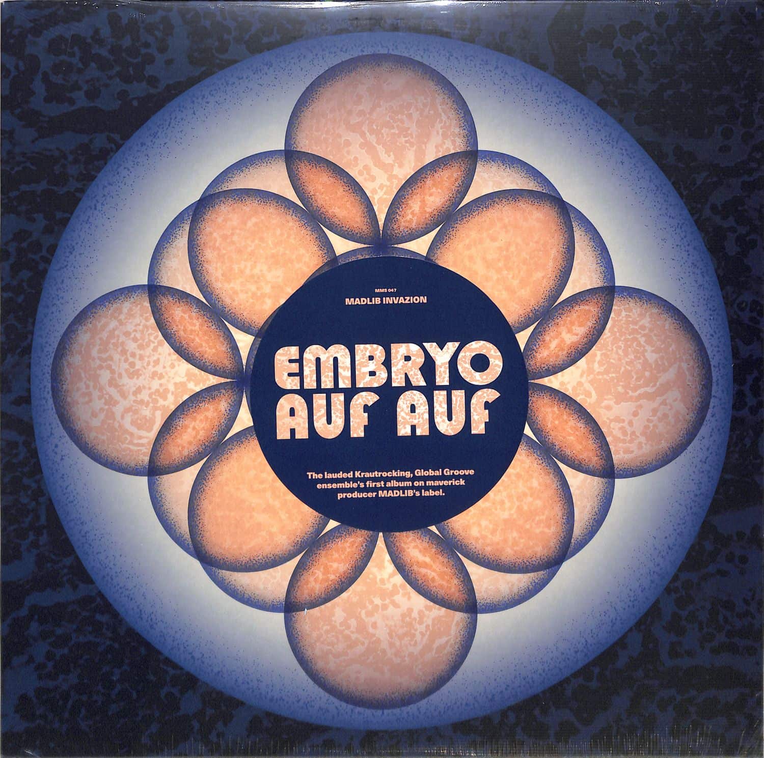 Embryo - AUF AUF 