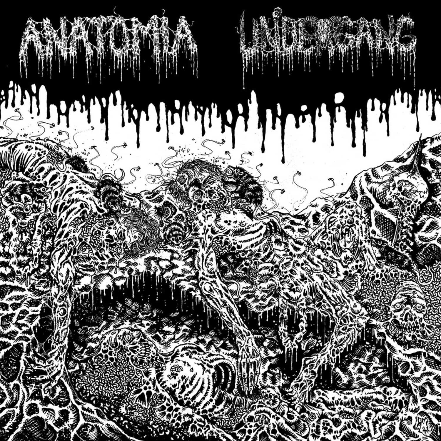 Undergang / Anatomia - SPLIT LP 