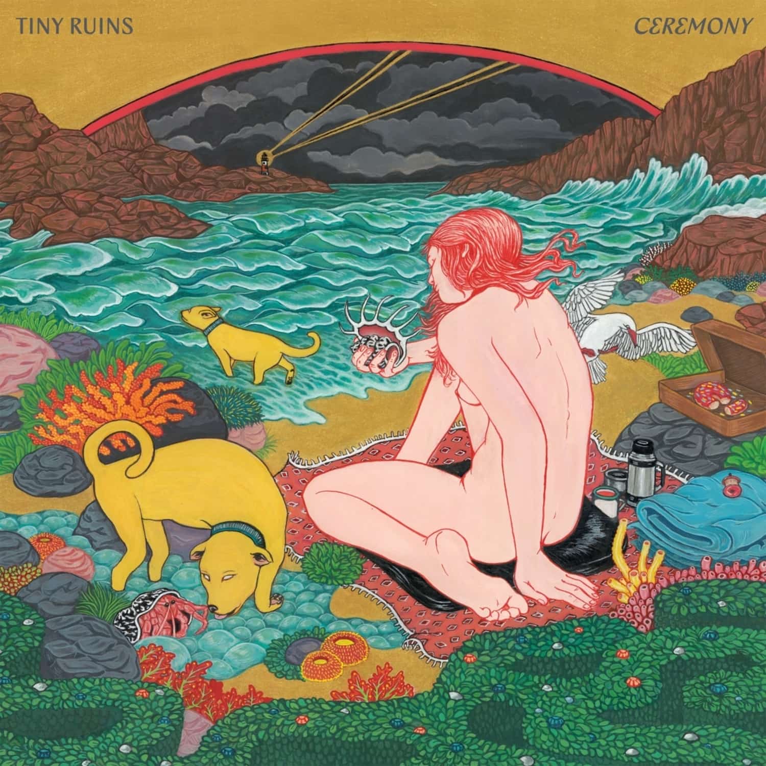 Tiny Ruins - CEREMONY 