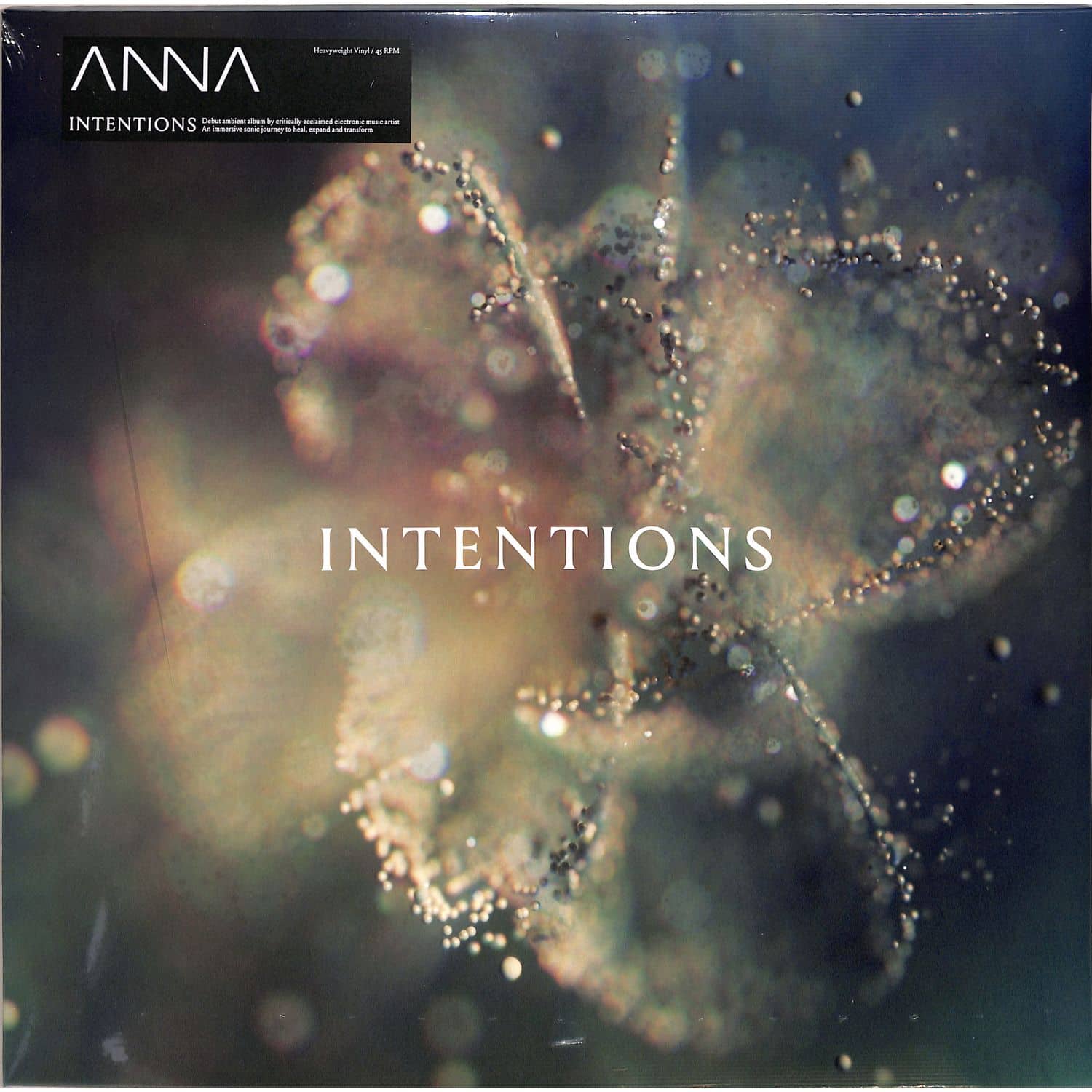 Anna - INTENTIONS 