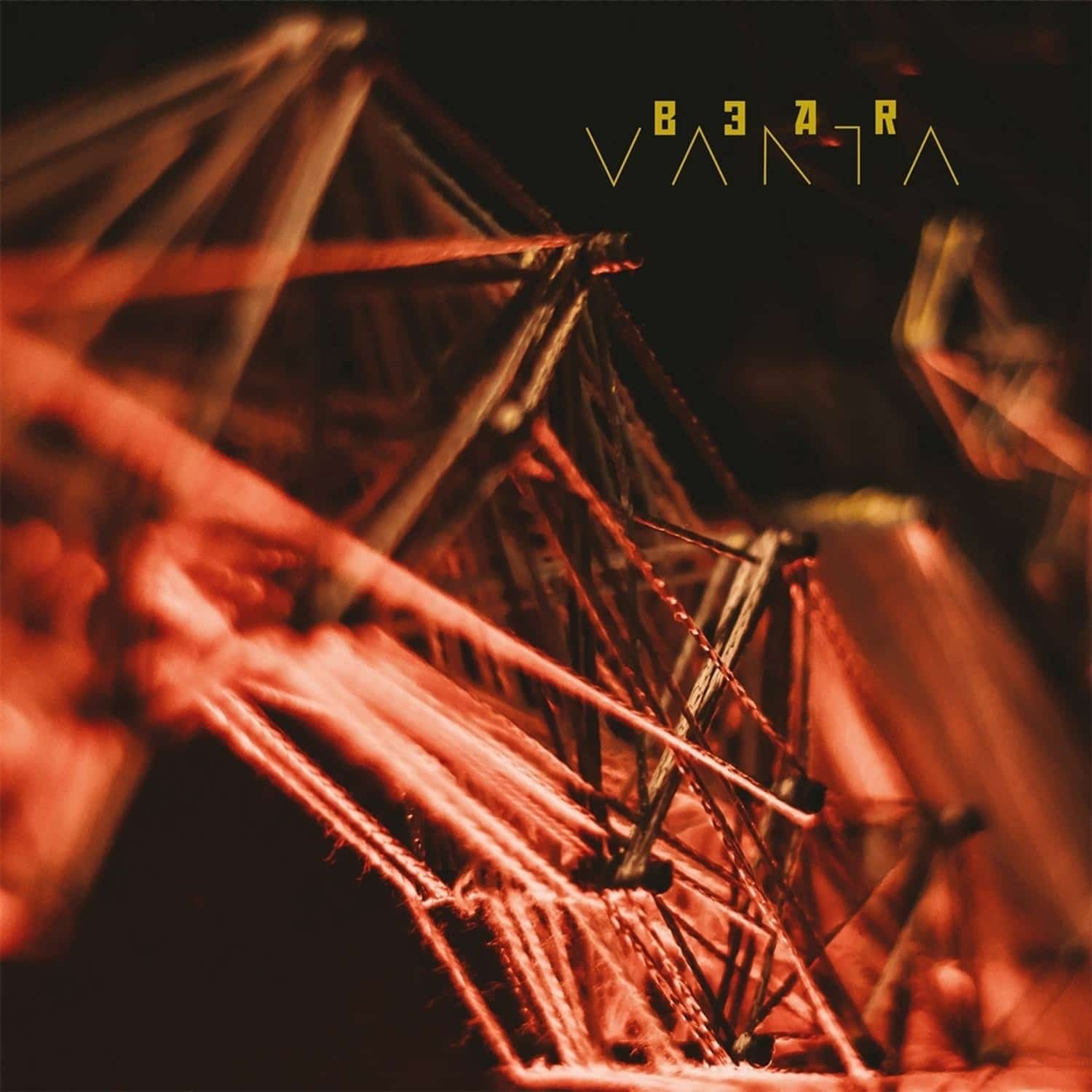 Bear - VANTA 