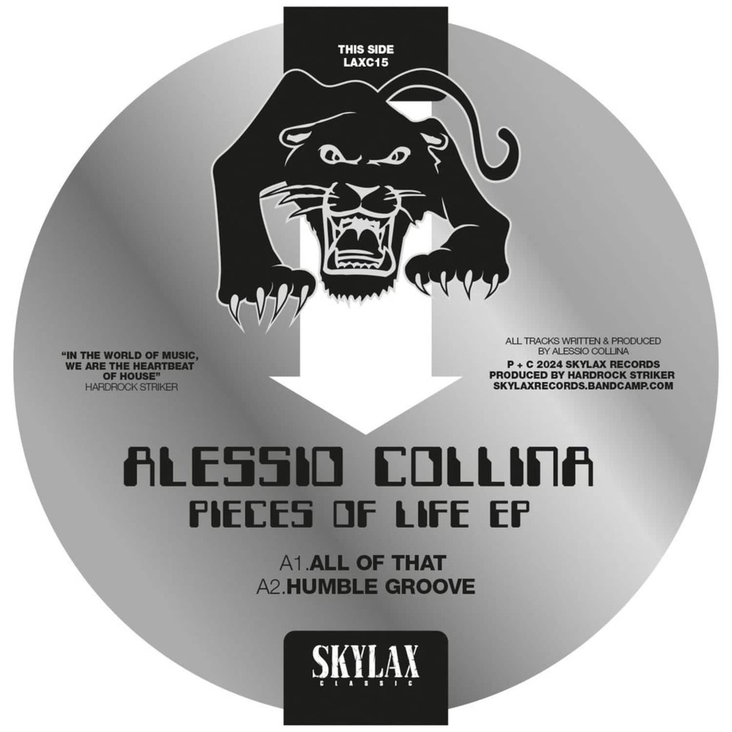 Alessio Collina - PIECES OF LIFE