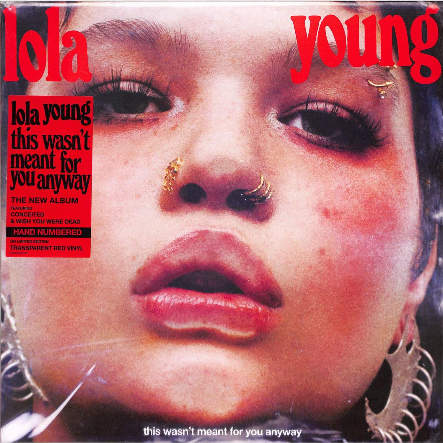 Lola Young - THIS WASNT MEANT FOR YOU ANYWAY 