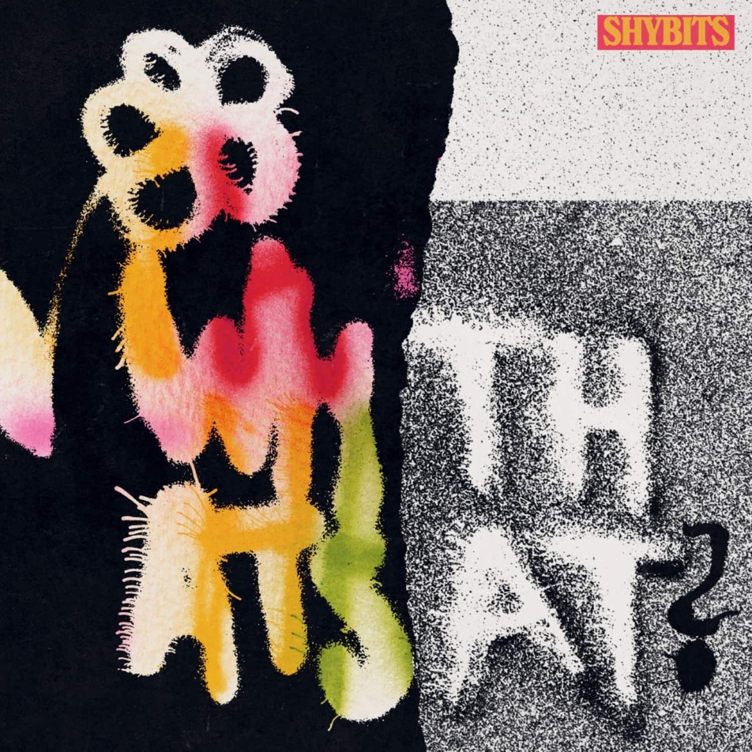 Shybits - WHAT S THAT? 
