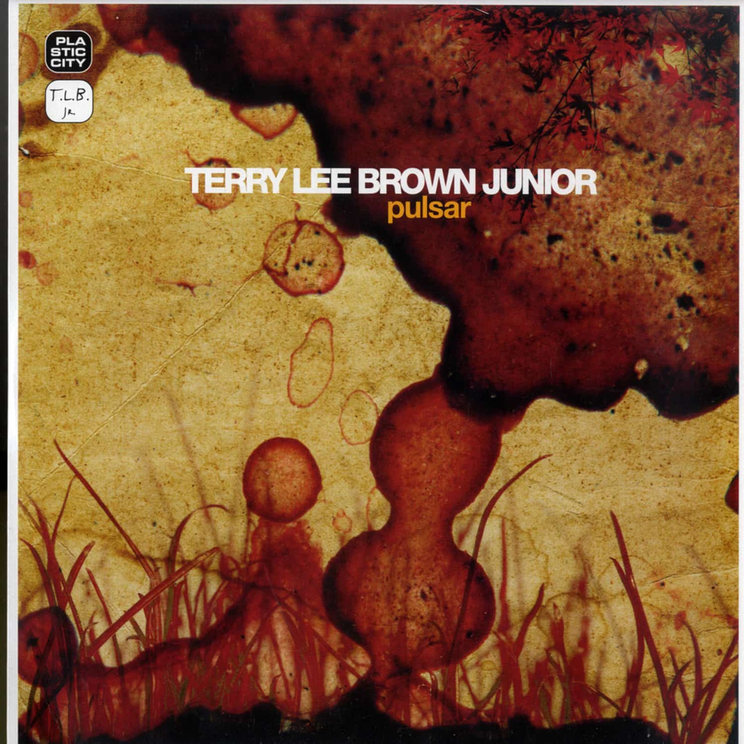 Terry Lee Brown Jr - PULSAR