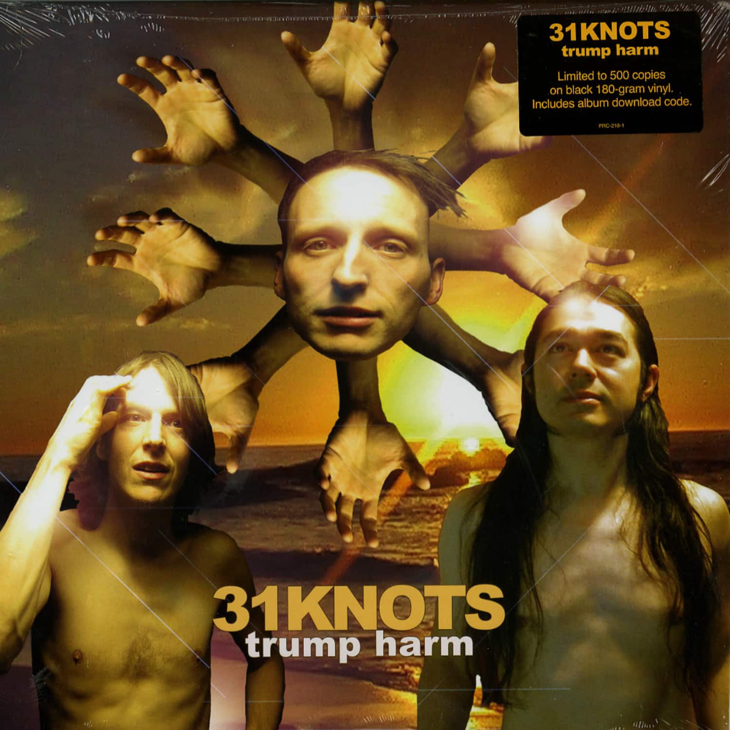 31 Knots - TRUMP HARM