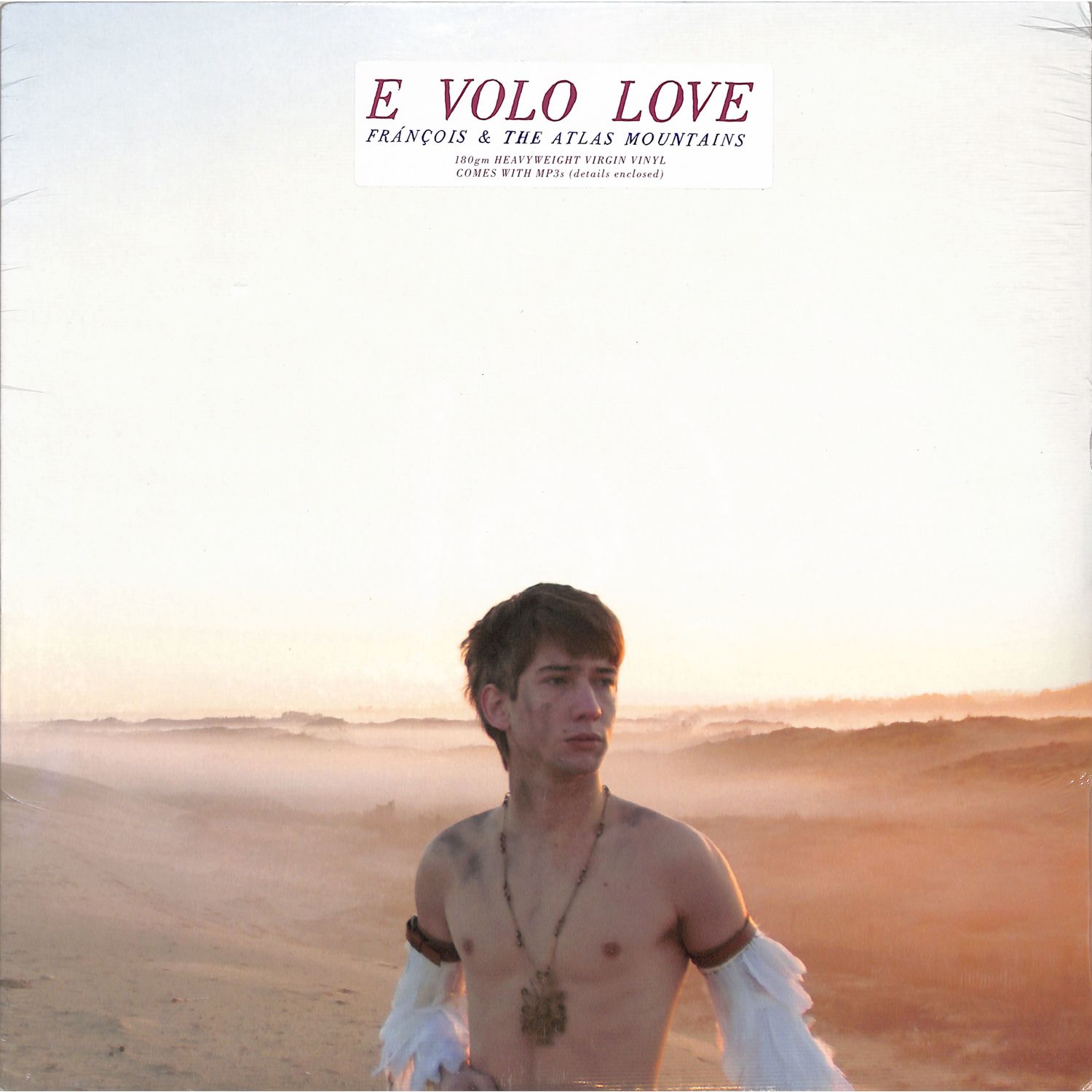Francois & The Atlas Mountains - E VOLO LOVE 