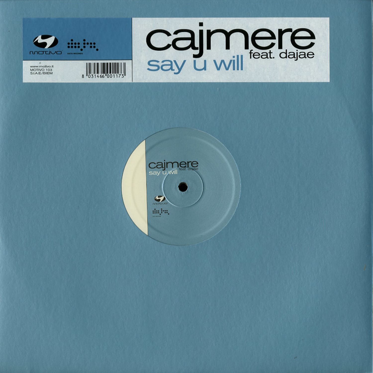 Cajmere feat. Dajae - SAY U WILL