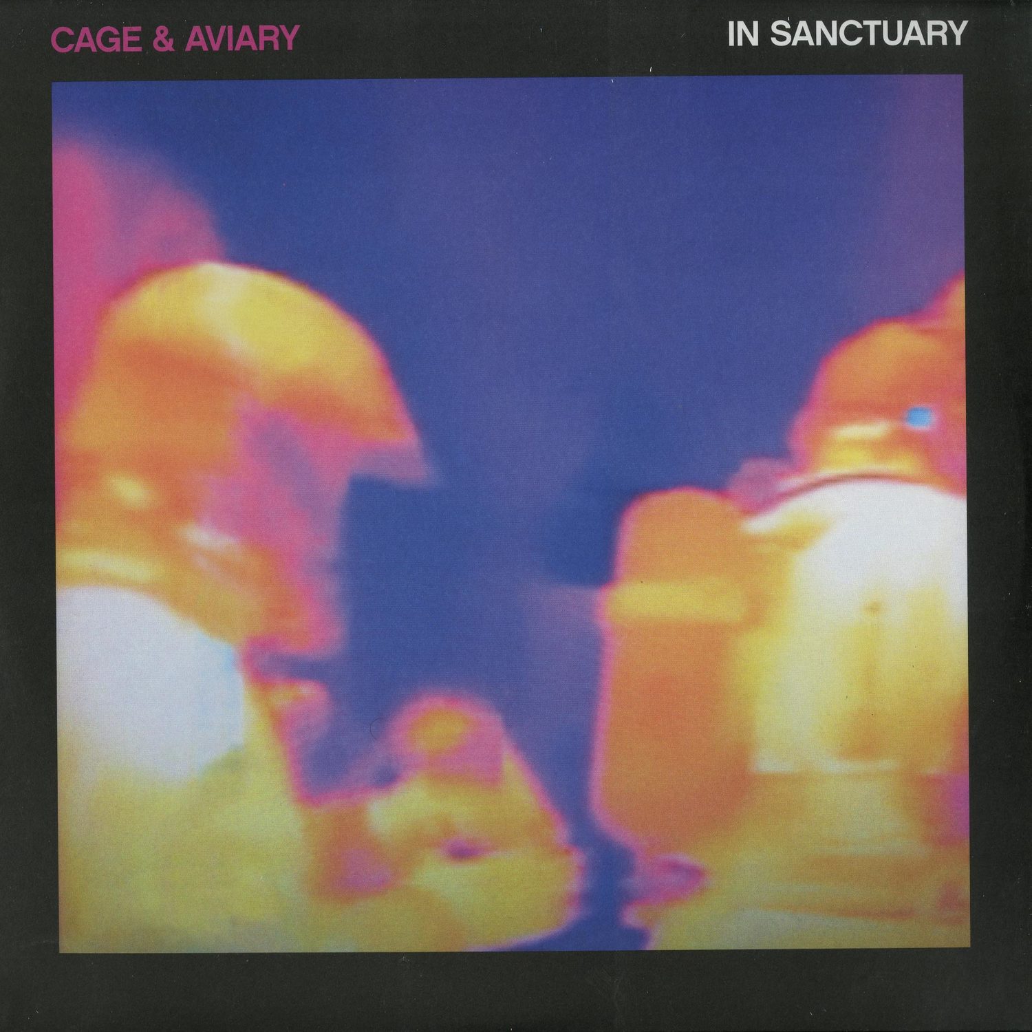 Cage & Aviary - IN SANCTUARY
