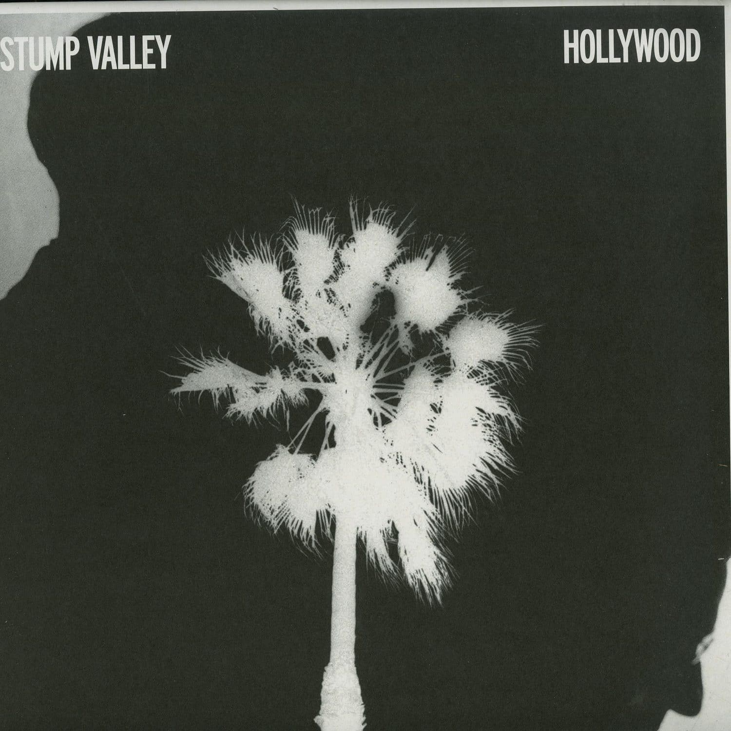 Stump Valley - HOLLYWOOD