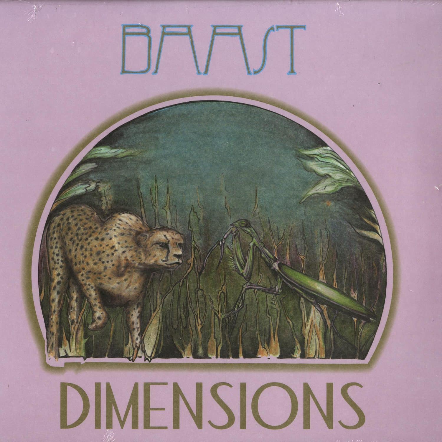 Baast - DIMENSIONS