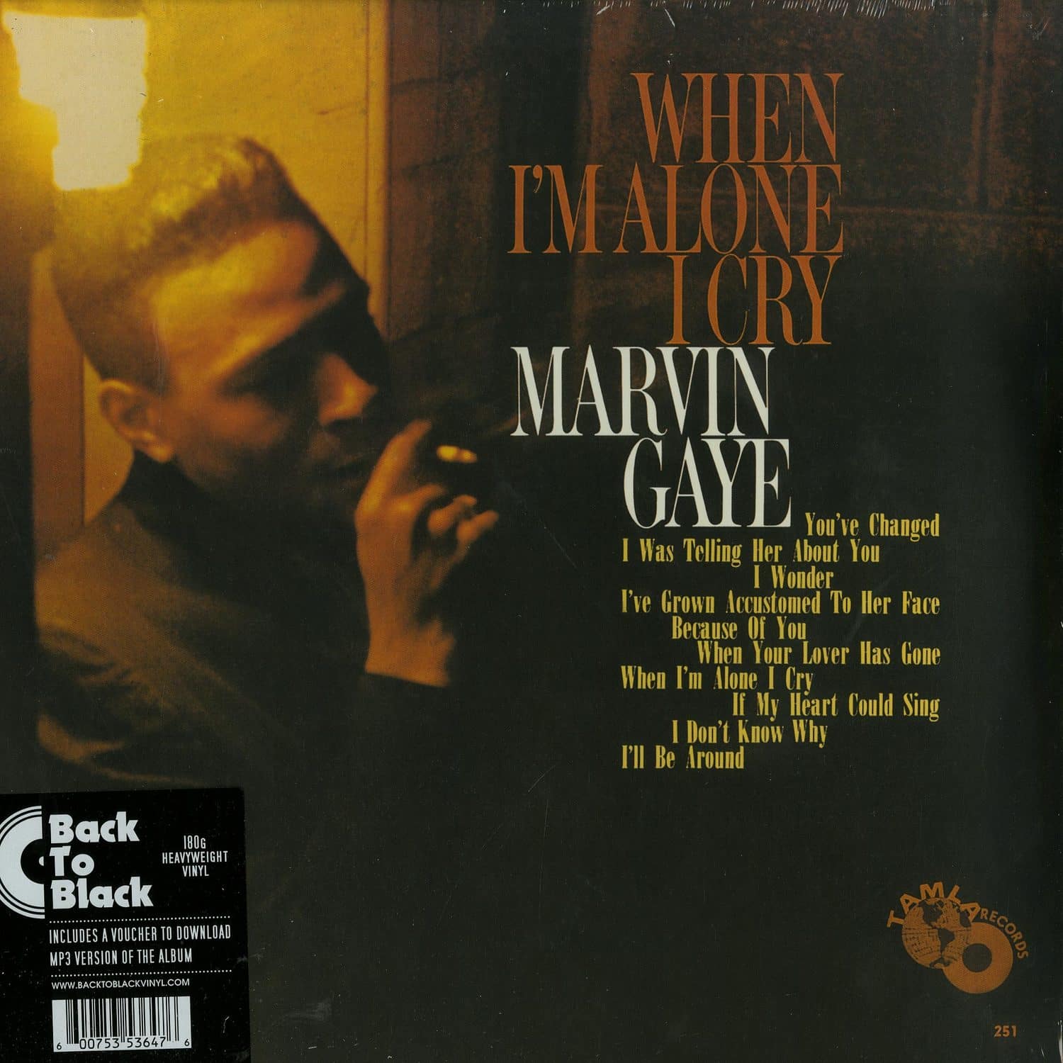 Marvin Gaye - WHEN IM ALONE I CRY 