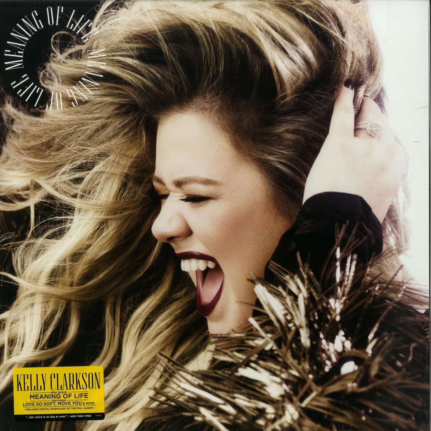 Kelly Clarkson - MEANING OF LIFE 