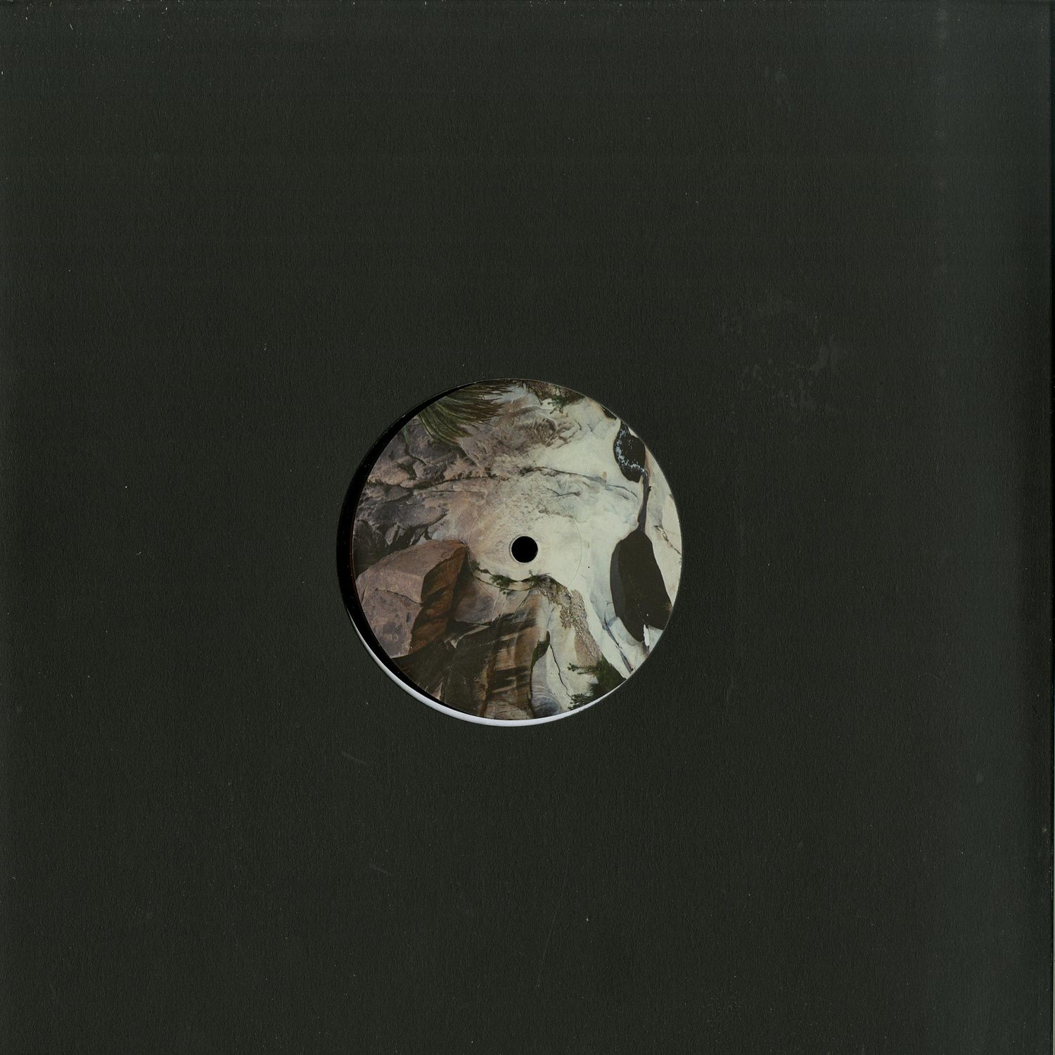 Rossum Universal Tracks - EBAUMS DREAMLAND 