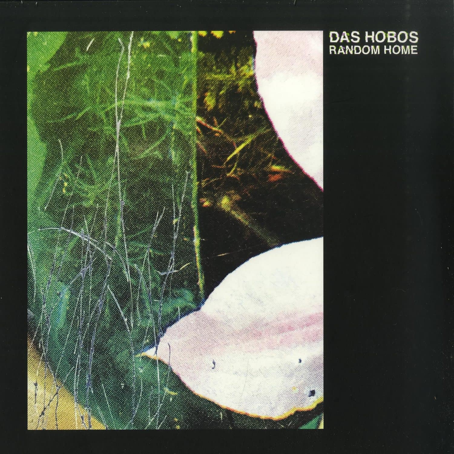 Das Hobos - RANDOM HOME 